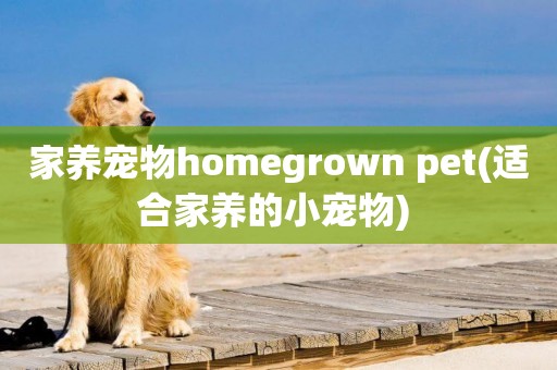 家養寵物homegrown pet(適合家養的小寵物) 