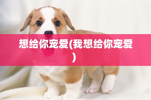想給你寵愛(我想給你寵愛) 