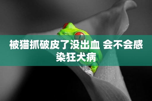 被貓抓破皮了沒出血 會不會感染狂犬病
