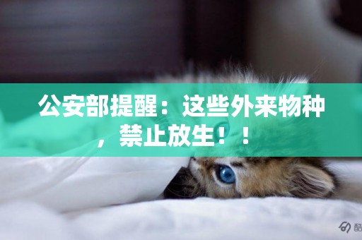 公安部提醒：這些外來物種，禁止放生！！ 