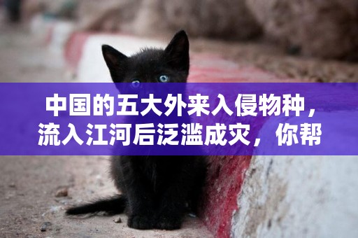 中國的五大外來入侵物種，流入江河后泛濫成災，你幫助消滅過多少 