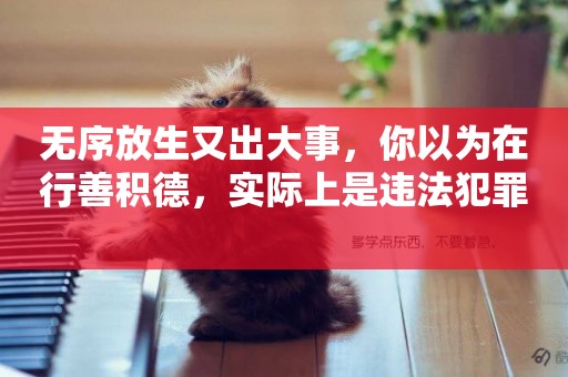 無序放生又出大事，你以為在行善積德，實際上是違法犯罪 