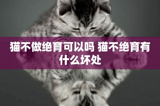 貓不做絕育可以嗎 貓不絕育有什么壞處