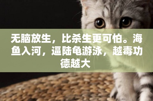 無腦放生，比殺生更可怕。海魚入河，逼陸龜游泳，越毒功德越大 