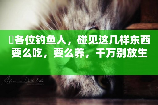 ?各位釣魚人，碰見這幾樣東西要么吃，要么養，千萬別放生 