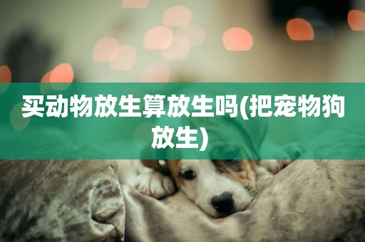 買動物放生算放生嗎(把寵物狗放生) 