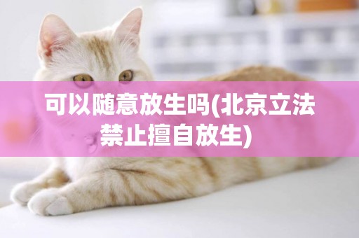 可以隨意放生嗎(北京立法禁止擅自放生) 