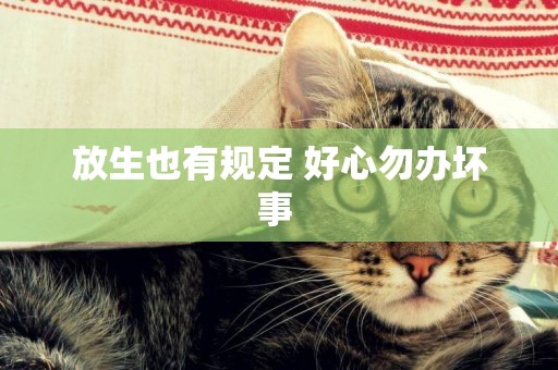 放生也有規定 好心勿辦壞事 