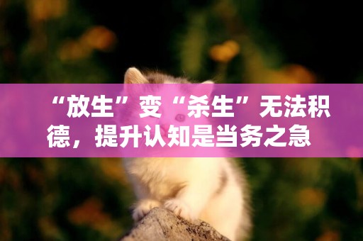 “放生”變“殺生”無法積德，提升認知是當務之急 