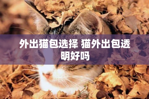 外出貓包選擇 貓外出包透明好嗎