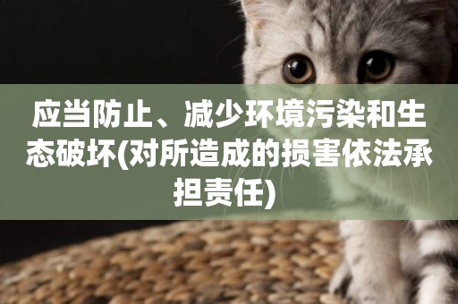 應當防止、減少環境污染和生態破壞(對所造成的損害依法承擔責任) 