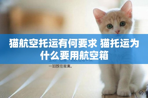 貓航空托運有何要求 貓托運為什么要用航空箱
