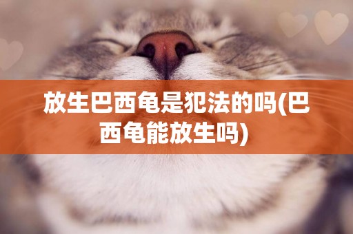 放生巴西龜是犯法的嗎(巴西龜能放生嗎) 