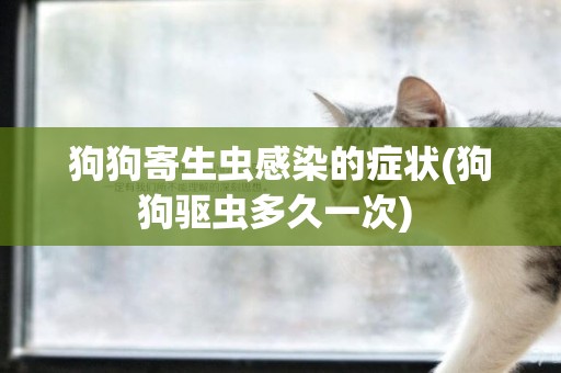 狗狗寄生蟲感染的癥狀(狗狗驅蟲多久一次) 