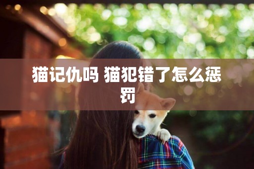 貓記仇嗎 貓犯錯了怎么懲罰