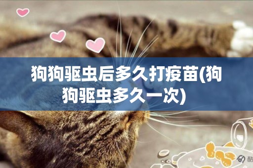 狗狗驅蟲后多久打疫苗(狗狗驅蟲多久一次) 