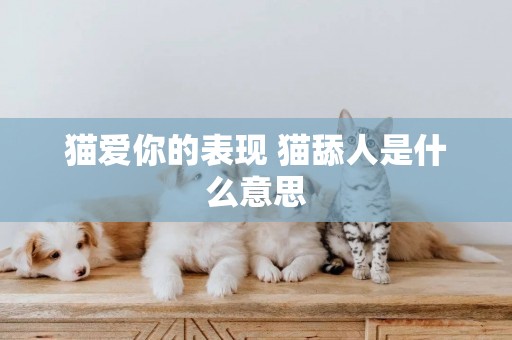 貓愛你的表現 貓舔人是什么意思