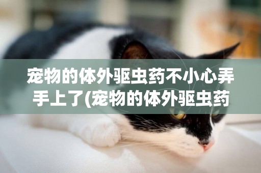 寵物的體外驅蟲藥不小心弄手上了(寵物的體外驅蟲藥人能用嗎) 