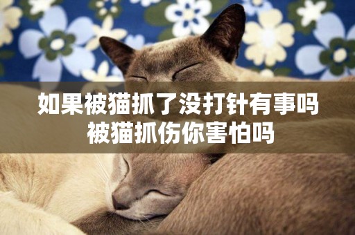 如果被貓抓了沒打針有事嗎 被貓抓傷你害怕嗎