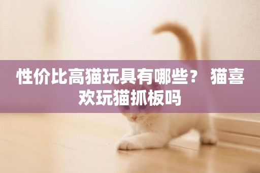 性價比高貓玩具有哪些？ 貓喜歡玩貓抓板嗎