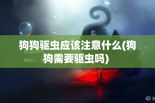 狗狗驅蟲應該注意什么(狗狗需要驅蟲嗎) 