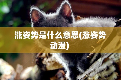 漲姿勢是什么意思(漲姿勢動漫) 