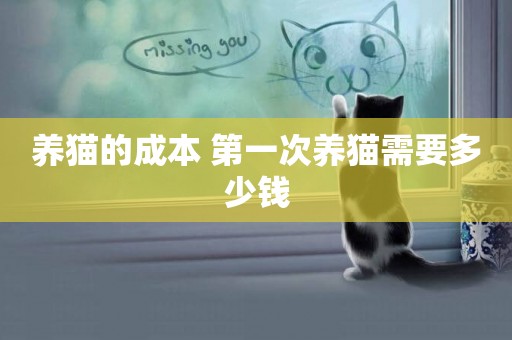 養貓的成本 第一次養貓需要多少錢