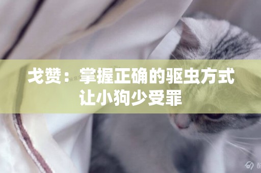 戈贊：掌握正確的驅蟲方式 讓小狗少受罪 