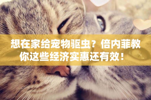 想在家給寵物驅蟲？倍內菲教你這些經濟實惠還有效！ 