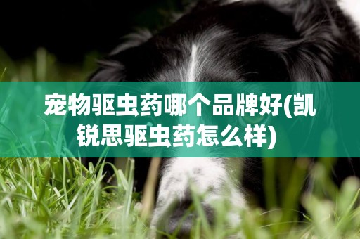 寵物驅蟲藥哪個品牌好(凱銳思驅蟲藥怎么樣) 