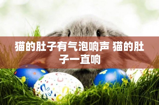 貓的肚子有氣泡響聲 貓的肚子一直響