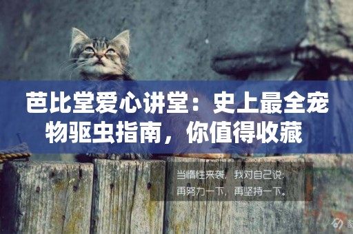 芭比堂愛心講堂：史上最全寵物驅蟲指南，你值得收藏 