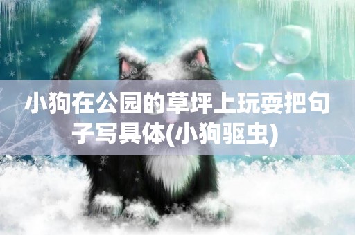 小狗在公園的草坪上玩耍把句子寫具體(小狗驅蟲) 