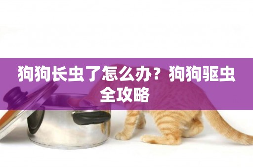 狗狗長蟲了怎么辦？狗狗驅蟲全攻略 