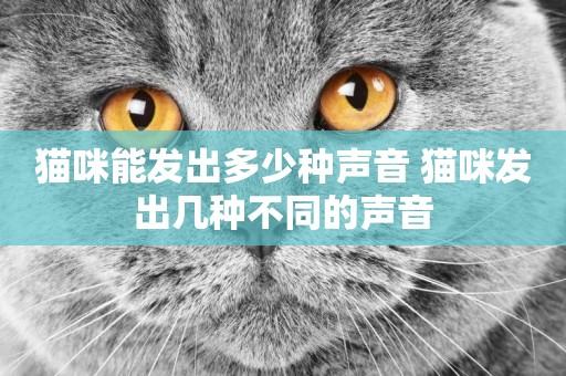 貓咪能發出多少種聲音 貓咪發出幾種不同的聲音
