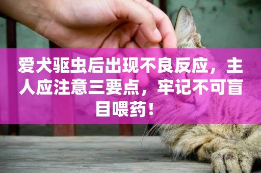 愛犬驅蟲后出現不良反應，主人應注意三要點，牢記不可盲目喂藥！ 