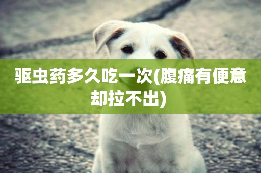 驅蟲藥多久吃一次(腹痛有便意卻拉不出) 