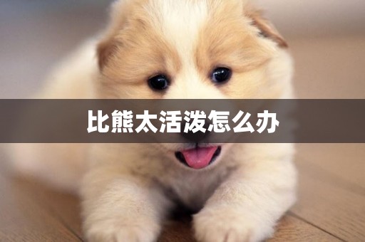 比熊太活潑怎么辦
