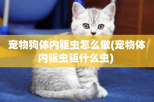 寵物狗體內驅蟲怎么做(寵物體內驅蟲驅什么蟲) 
