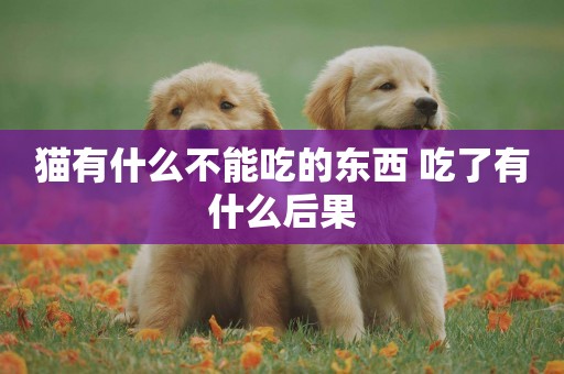 貓有什么不能吃的東西 吃了有什么后果