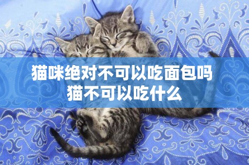 貓咪絕對不可以吃面包嗎 貓不可以吃什么