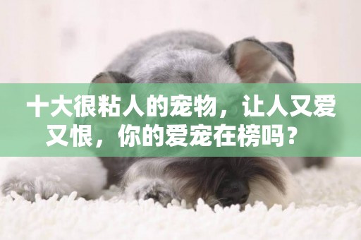 十大很粘人的寵物，讓人又愛又恨，你的愛寵在榜嗎？ 