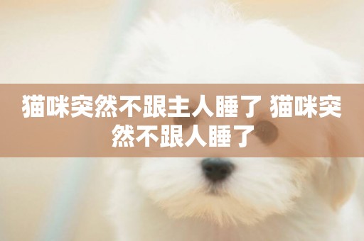 貓咪突然不跟主人睡了 貓咪突然不跟人睡了