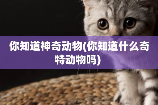 你知道神奇動物(你知道什么奇特動物嗎) 