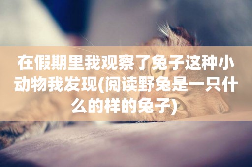 在假期里我觀察了兔子這種小動物我發現(閱讀野兔是一只什么的樣的兔子) 