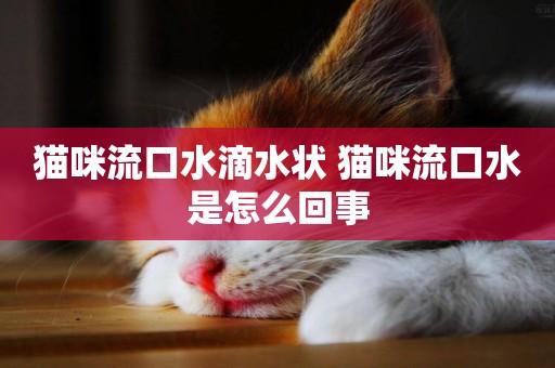 貓咪流口水滴水狀 貓咪流口水是怎么回事