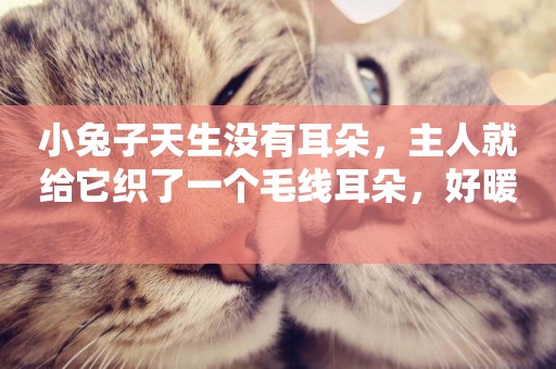 小兔子天生沒有耳朵，主人就給它織了一個毛線耳朵，好暖 