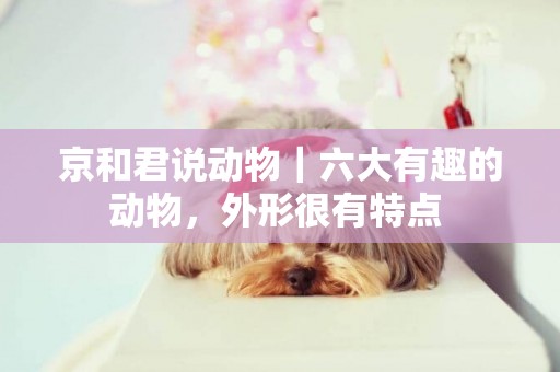 京和君說動物｜六大有趣的動物，外形很有特點 