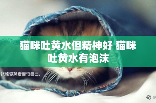 貓咪吐黃水但精神好 貓咪吐黃水有泡沫