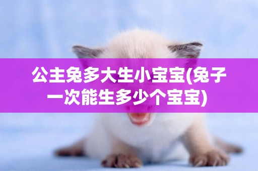 公主兔多大生小寶寶(兔子一次能生多少個寶寶) 